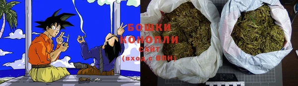 прущие грибы Волосово