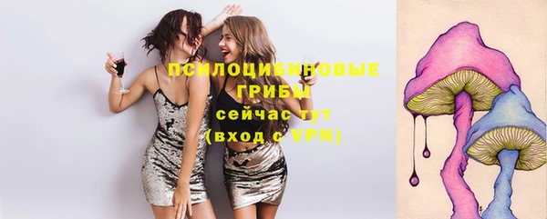 ГАЛЛЮЦИНОГЕННЫЕ ГРИБЫ Володарск