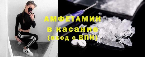 прущие грибы Волосово