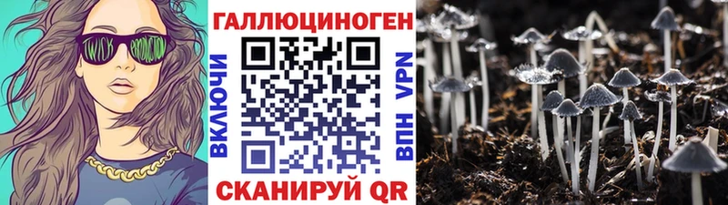 Галлюциногенные грибы GOLDEN TEACHER  купить наркоту  Ишимбай 